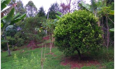 CASA CAMPESTRE EN VENTA GUARNE, SECTOR SANGO