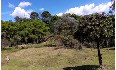 CASA CAMPESTRE EN VENTA GUARNE, SECTOR SANGO