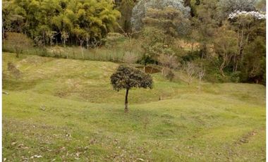 CASA CAMPESTRE EN VENTA GUARNE, SECTOR SANGO