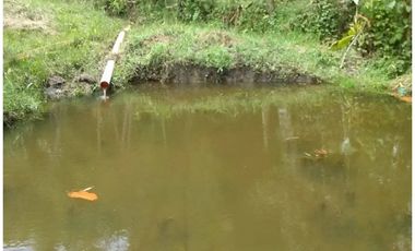 CASA CAMPESTRE EN VENTA GUARNE, SECTOR SANGO