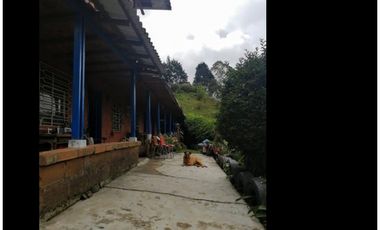 CASA CAMPESTRE EN VENTA GUARNE, SECTOR SANGO