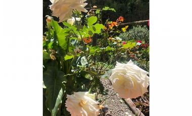 FINCA EN VENTA EN GUARNE ANTIOQUIA, VEREDA BELLAVISTA