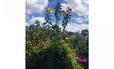 FINCA EN VENTA EN GUARNE ANTIOQUIA, VEREDA BELLAVISTA