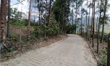 HERMOSO LOTE EN VENTA EN ANGELÓPOLIS, ANTIOQUIA