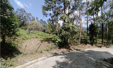 HERMOSO LOTE EN VENTA EN ANGELÓPOLIS, ANTIOQUIA