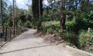 HERMOSO LOTE EN VENTA EN ANGELÓPOLIS, ANTIOQUIA