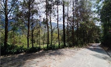 HERMOSO LOTE EN VENTA EN ANGELÓPOLIS, ANTIOQUIA