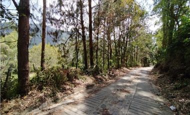 HERMOSO LOTE EN VENTA EN ANGELÓPOLIS, ANTIOQUIA