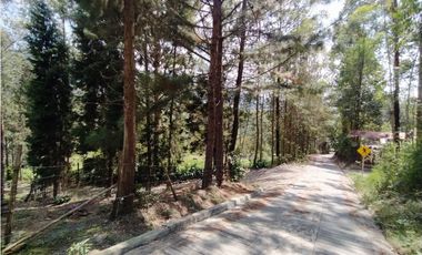 HERMOSO LOTE EN VENTA EN ANGELÓPOLIS, ANTIOQUIA