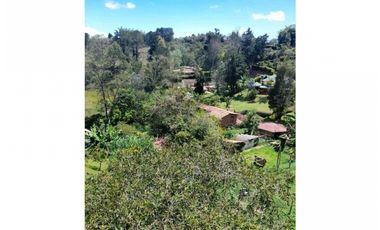 FINCA EN VENTA EN SAN VICENTE FERRER ORIENTE ANTIOQUEÑO