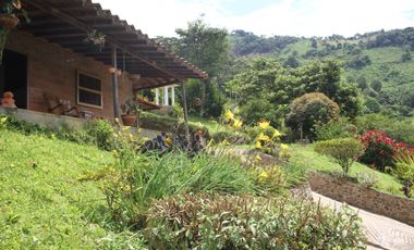 FINCA EN VENTA SECTOR EL VOLCN TITIRIB ANTIOQUIA