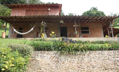 FINCA EN VENTA SECTOR EL VOLCN TITIRIB ANTIOQUIA