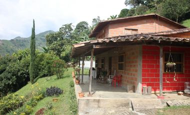 FINCA EN VENTA SECTOR EL VOLCN TITIRIB ANTIOQUIA