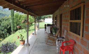 FINCA EN VENTA SECTOR EL VOLCN TITIRIB ANTIOQUIA