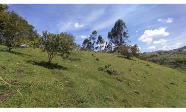 LOTE EN VENTA EN MARINILLA