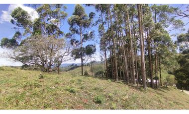 LOTE EN VENTA EN MARINILLA