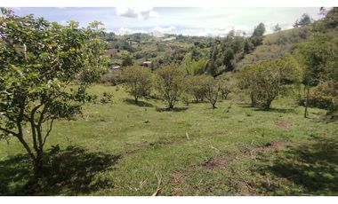 LOTE EN VENTA EN MARINILLA