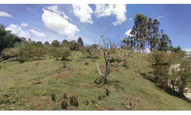 LOTE EN VENTA EN MARINILLA