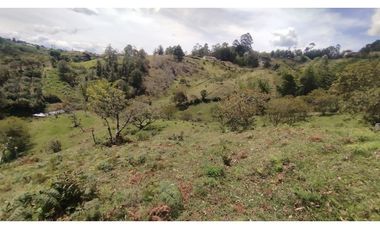 LOTE EN VENTA EN MARINILLA