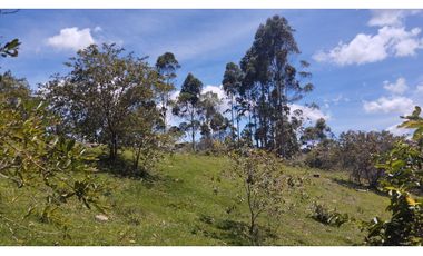 LOTE EN VENTA EN MARINILLA