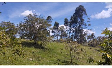 LOTE EN VENTA EN MARINILLA