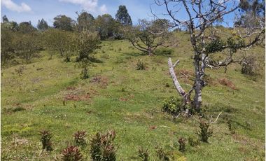 LOTE EN VENTA EN MARINILLA