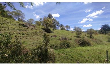 LOTE EN VENTA EN MARINILLA