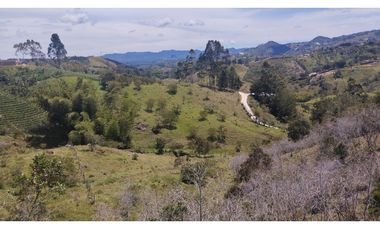 LOTE EN VENTA EN MARINILLA