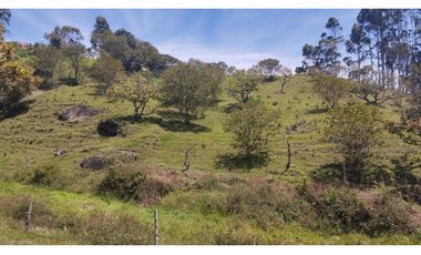 LOTE EN VENTA EN MARINILLA