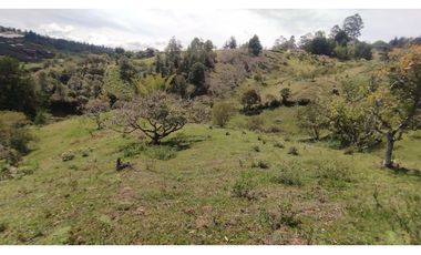 LOTE EN VENTA EN MARINILLA