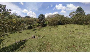 LOTE EN VENTA EN MARINILLA