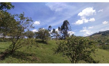 LOTE EN VENTA EN MARINILLA