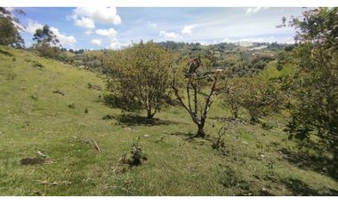 LOTE EN VENTA EN MARINILLA