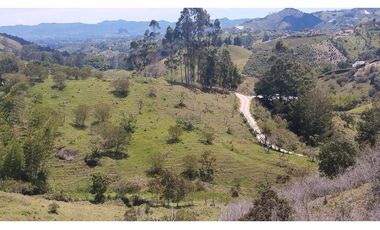 LOTE EN VENTA EN MARINILLA