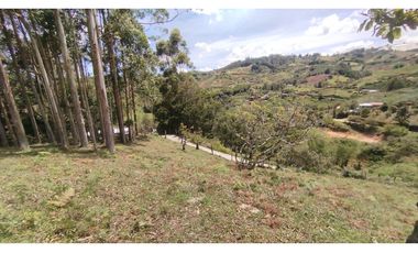 LOTE EN VENTA EN MARINILLA