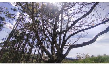 LOTE EN VENTA EN MARINILLA