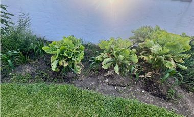 CASA FINCA EN VENTA EL CARMEN DE VIBORAL