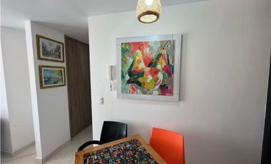 Apartamento amoblado en arriendo sector Villa Liliana