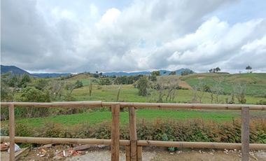 Arriendo apartamento campestre en El Carmen de Viboral