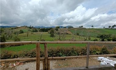Arriendo apartamento campestre en El Carmen de Viboral