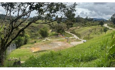 Lote para la venta en guarne la mosquita unidad cerrada LDC