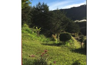 FINCA EN SAN VICENTE EN PARCELACIÓN ABIERTA