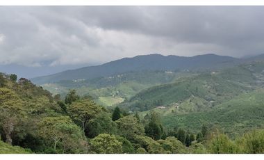EXCELENTE PROYECTO COLINAS DE CYPRÉSS. LOTES EN CALDAS, ANTIOQUIA