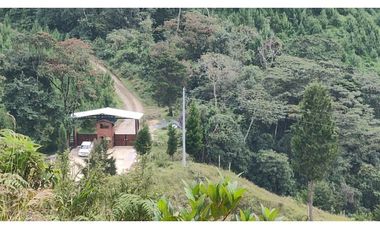 EXCELENTE PROYECTO COLINAS DE CYPRÉSS. LOTES EN CALDAS, ANTIOQUIA