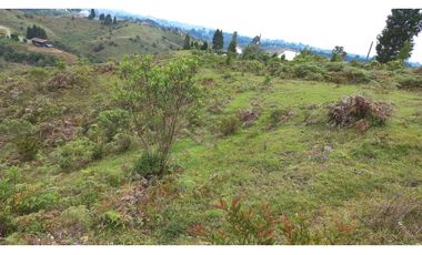 EXCELENTE PROYECTO COLINAS DE CYPRÉSS. LOTES EN CALDAS, ANTIOQUIA