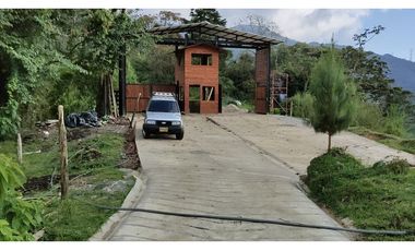EXCELENTE PROYECTO COLINAS DE CYPRÉSS. LOTES EN CALDAS, ANTIOQUIA