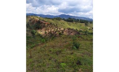 EXCELENTE PROYECTO COLINAS DE CYPRÉSS. LOTES EN CALDAS, ANTIOQUIA