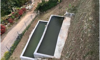 CASA FINCA EN VENTA SAN CRISTÓBAL, VEREDA EL UVITO