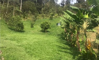 CASA CAMPESTRE EN VENTA, VARIANTE DE CALDAS