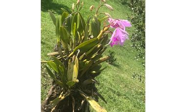CASA CAMPESTRE EN VENTA, VARIANTE DE CALDAS